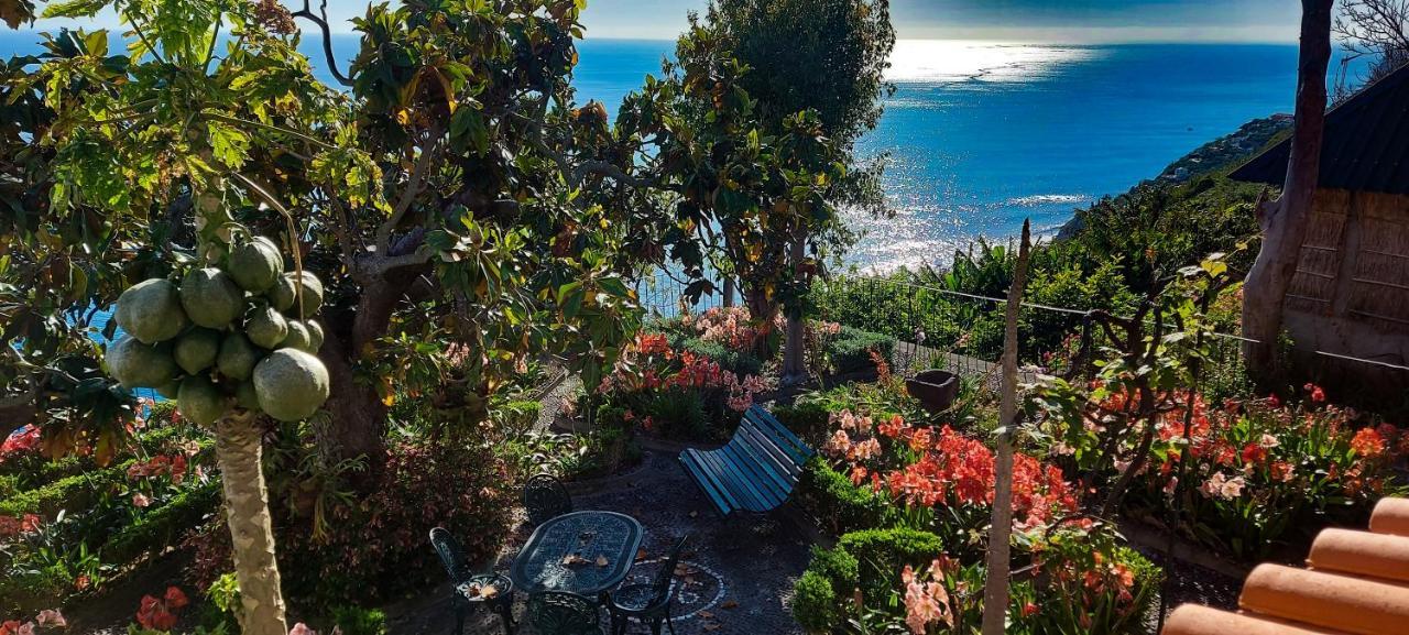 Torre Bella Gardens Villa Arco da Calheta  Exterior photo